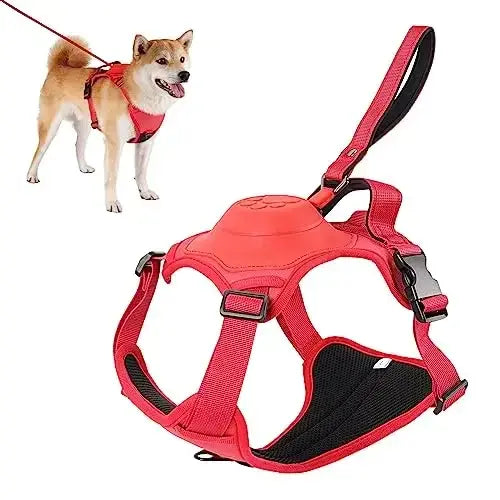 Dog Harness and Retractable Leash Set (Med- XL)