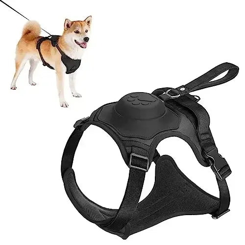 Dog Harness and Retractable Leash Set (Med- XL)