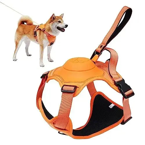 Dog Harness and Retractable Leash Set (Med- XL)