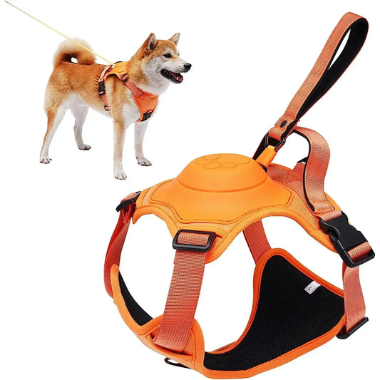 Dog Harness and Retractable Leash Set (Med- XL)