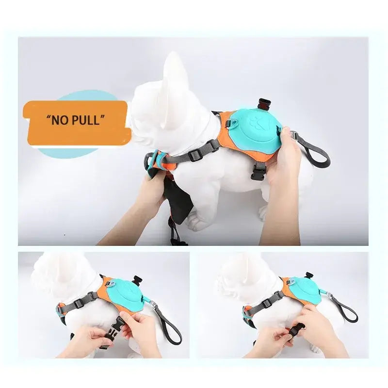 Dog Harness and Retractable Leash Set (Xtra Small- Small)